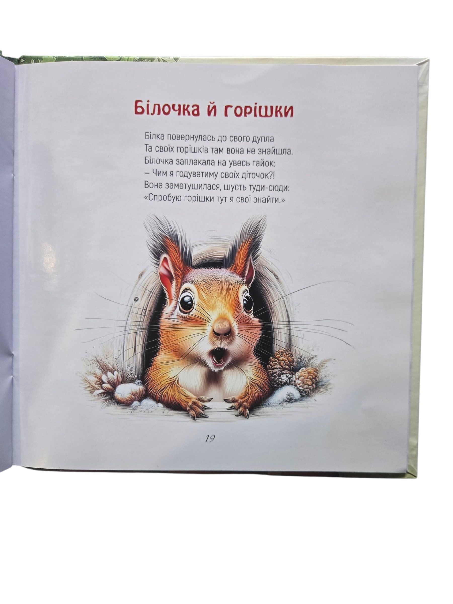 Сторінка 5 переглядового фрагмента