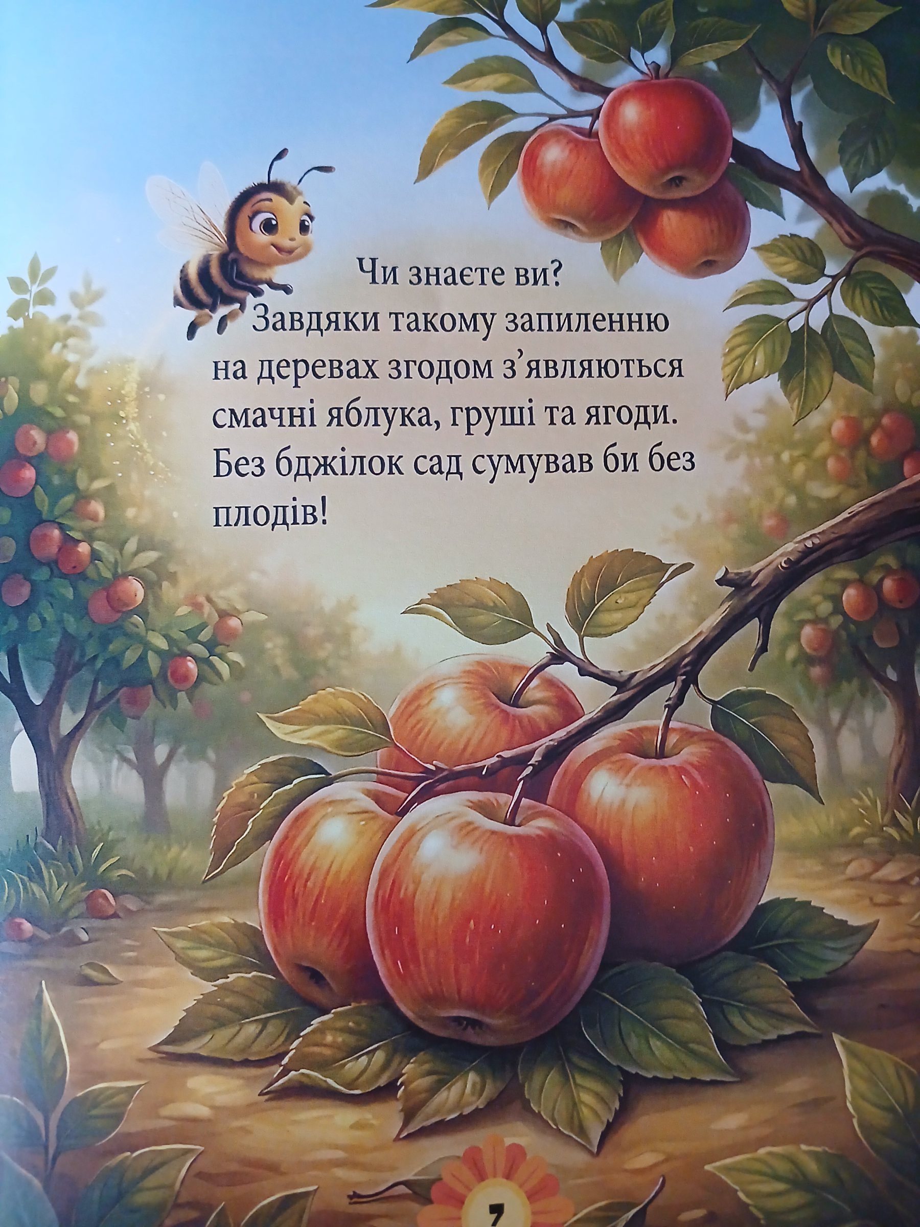 Сторінка 5 переглядового фрагмента