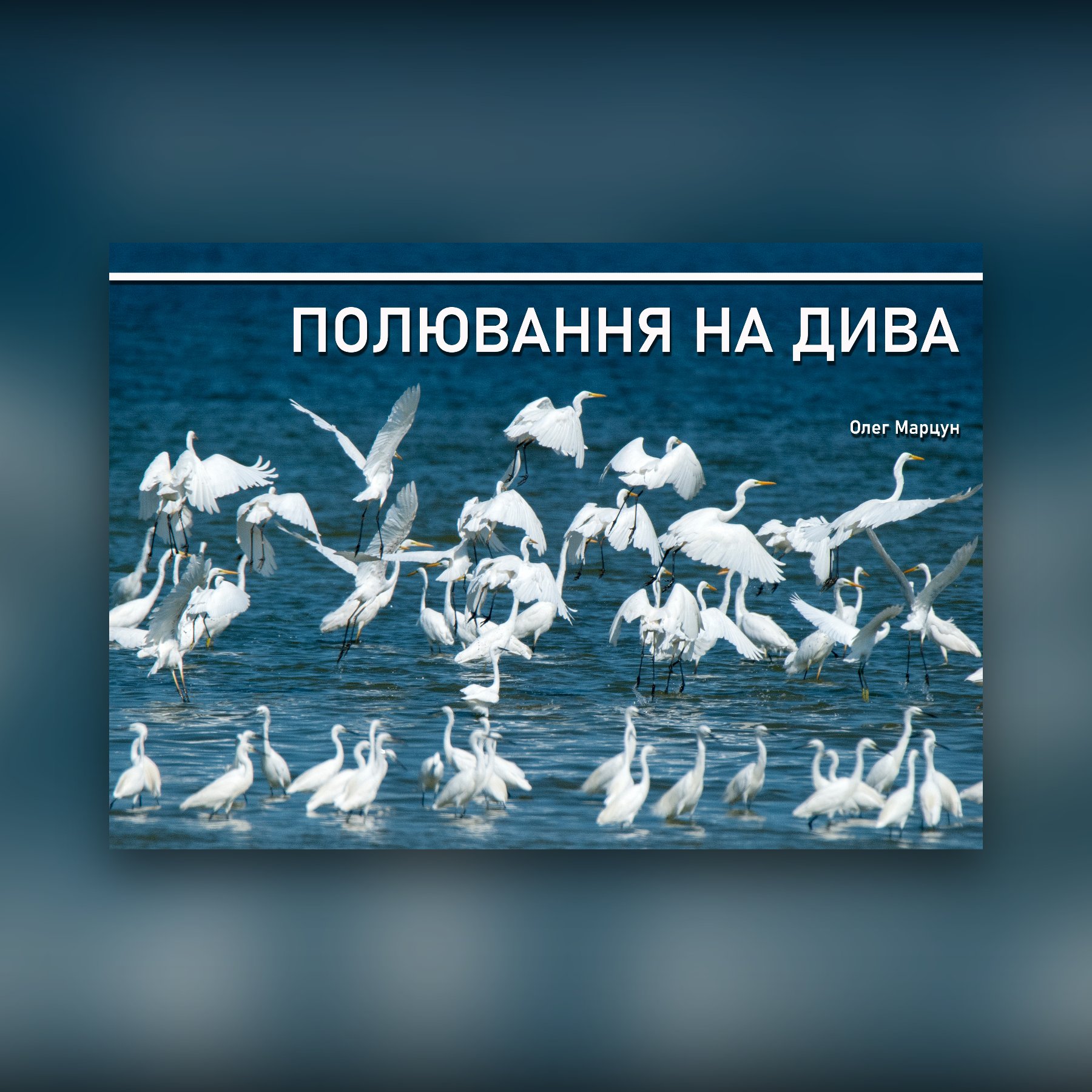 Полювання на дива. Частина ІІ/ (Про жуків-парфумерів, пернатих солістів та мишачого короля/)