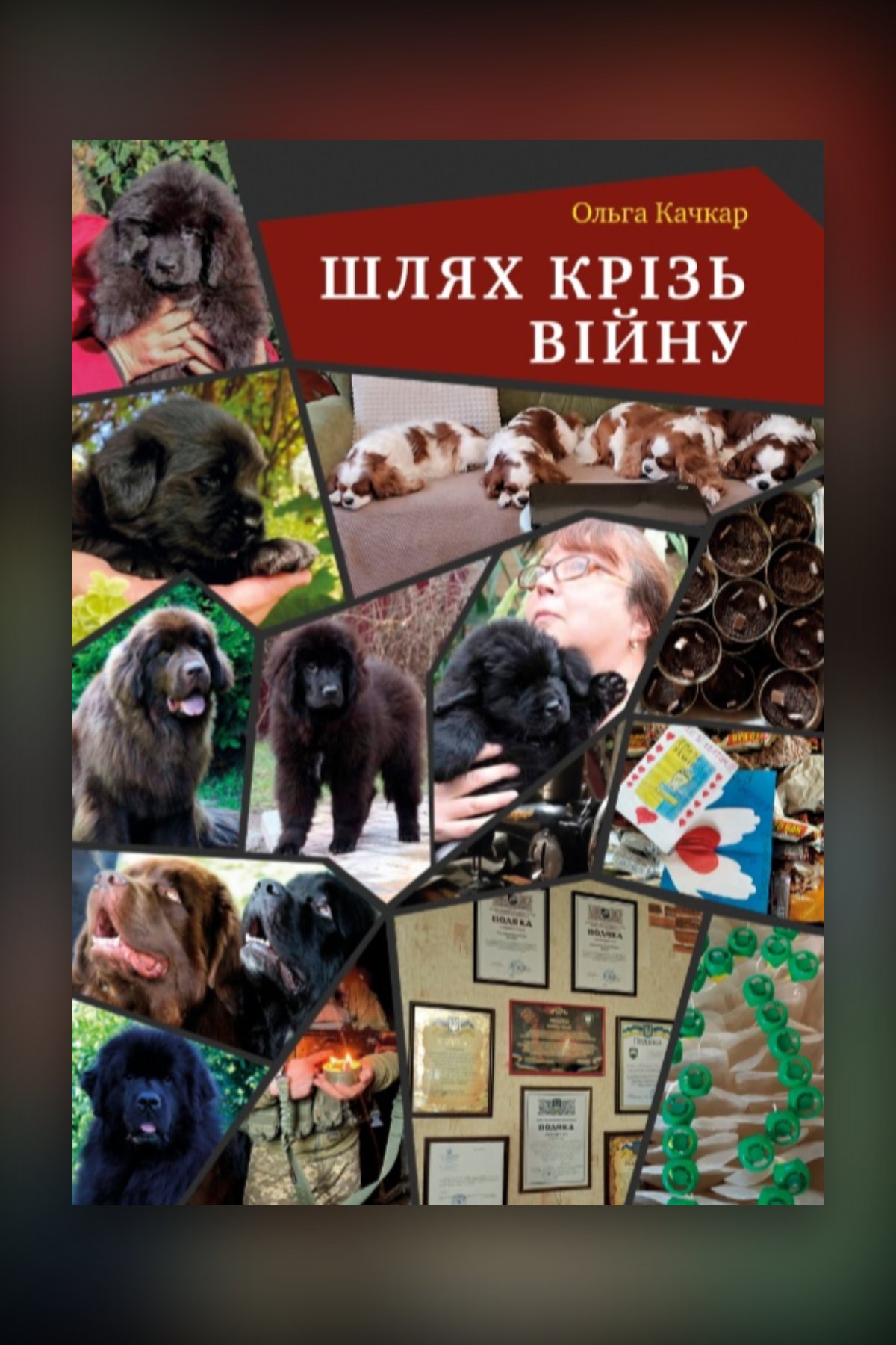 Шлях крізь війну