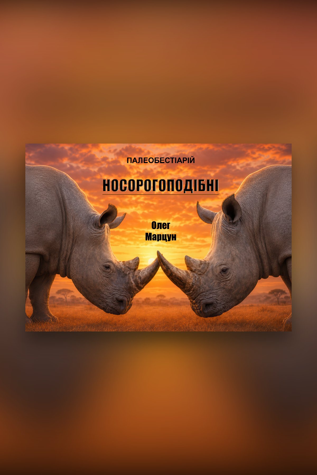 Носорогоподібні